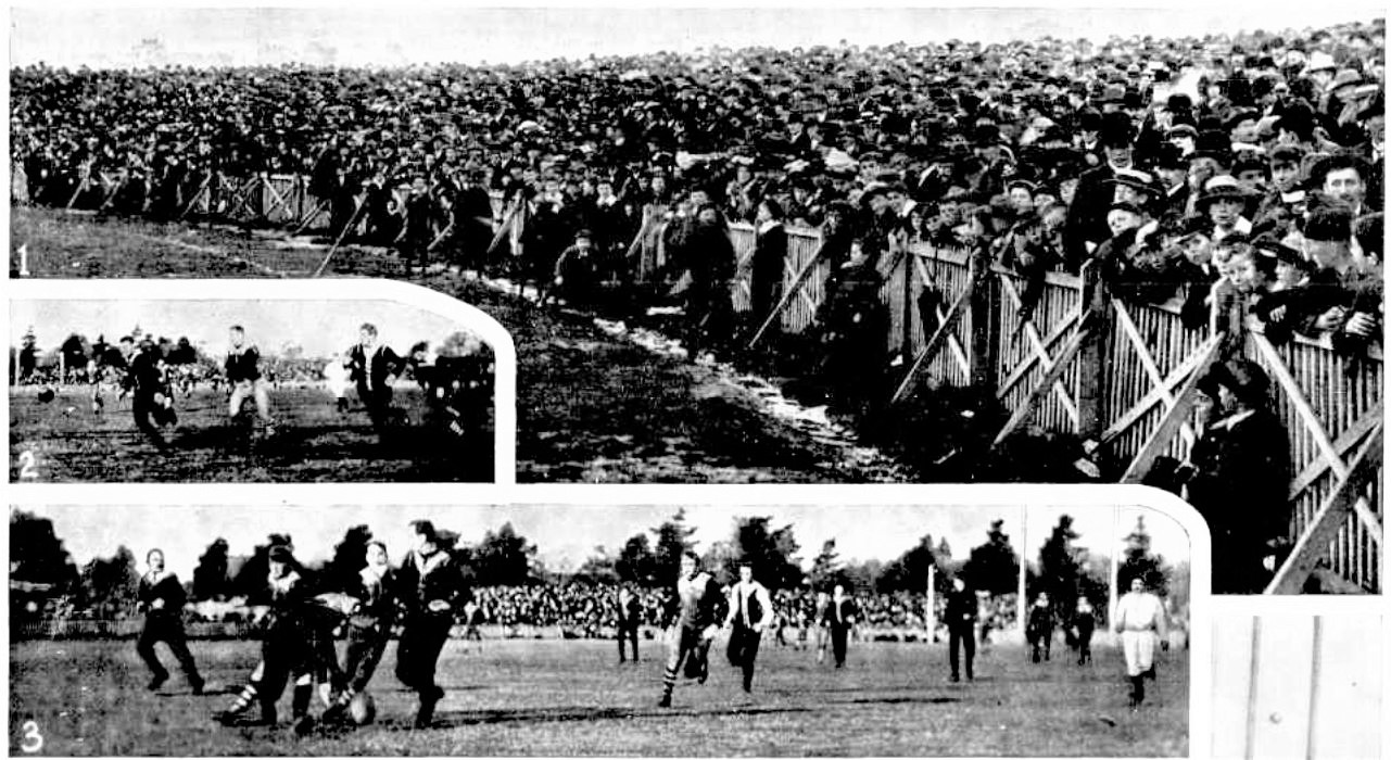 1903 Rnd 6 v Fitzroy at Princes Park
Trove: Leader June 13 