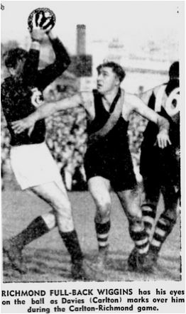 1949 Rich Punt Road  Age June 14 Capture